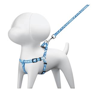 Correa con pechera para perro, 1 cm ancho, FIERO